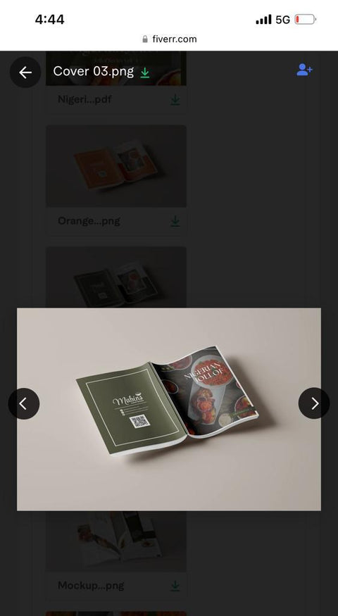 Nigerian Jollof - A Book by Chef Carol Khanu